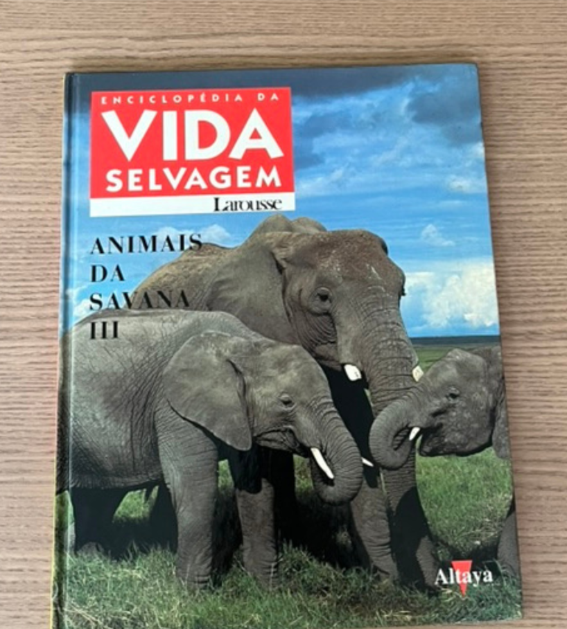 Animais da savana III